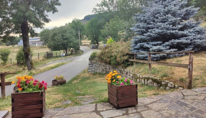 Image 1 : "LE MILLEPERTUIS"