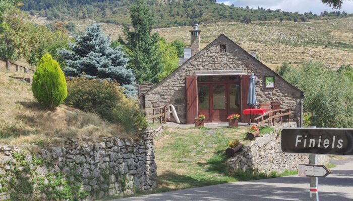 Image 2 : "LE MILLEPERTUIS"