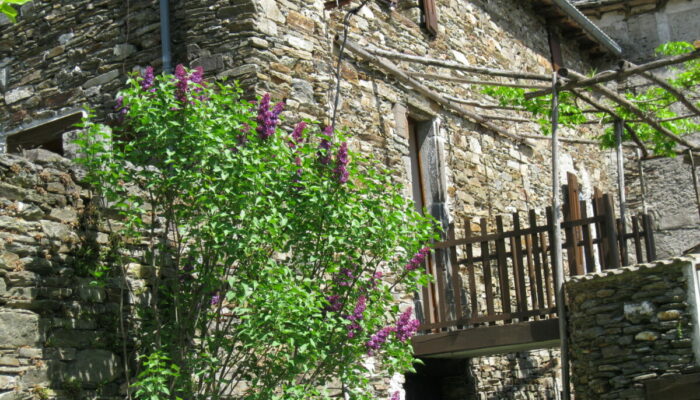 Image 0 : GITE ARBOUSSES