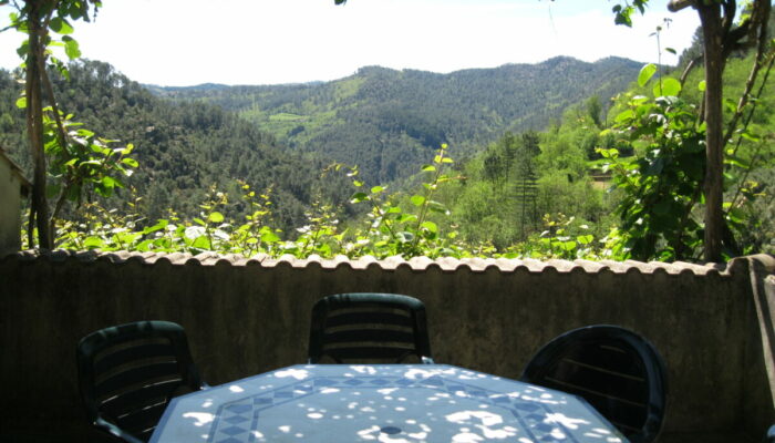 Image 1 : GITE ARBOUSSES