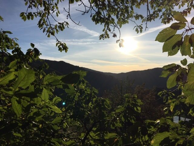 Image 3 : GÎTE DU CASTANET