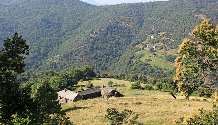 Image 3 : GÎTE LA BERGERIE