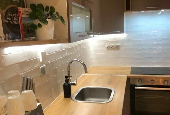 Image 1 : GÎTE LE MARTINET