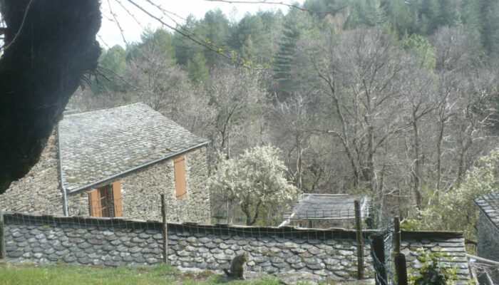 Image 1 : GÎTES DU BANCILHON - LA MAGNANERIE