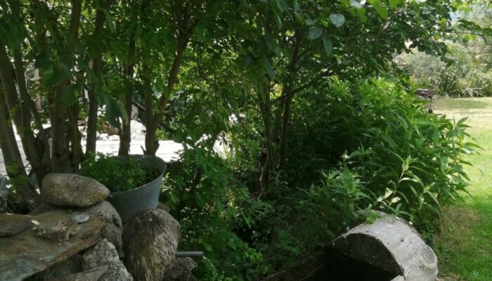 Image 1 : GÎTES DU MAZEL : LE SORBIER