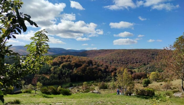 Image 4 : LA TCHOURETTE DU MONT LOZERE GRANDS CHALETS