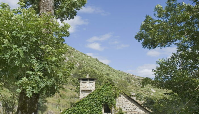 Image 0 : LE MERLET - "LE BÉAL"