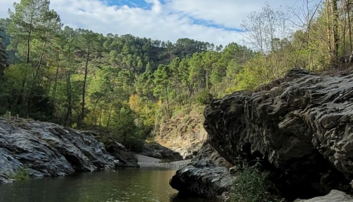Image 1 : LES GÎTES DE LA RIVIÈRE D'ARGENT : GÎTE LES GALETS