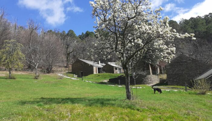 Image 4 : LES HAUTS DE SAINT PRIVAT 6-7 PERS.