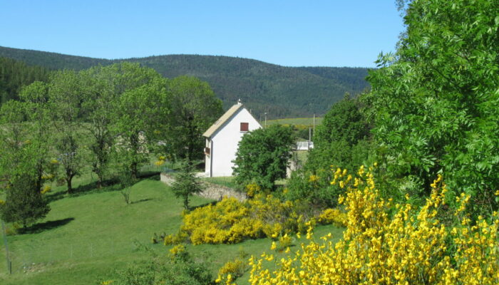 Image 0 : PETIT GÎTE LOU CAMPAROL