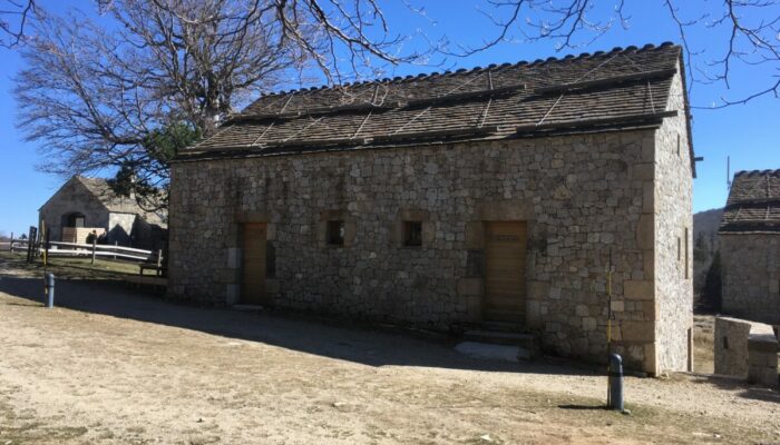 Image 3 : VILLAGE DE GITES DU MAS DE LA BARQUE 4 PERS. 44 M²