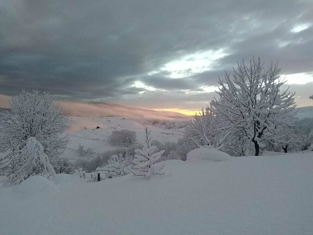 Image 3 : GÎTES DU MAZEL : LE FAYARD