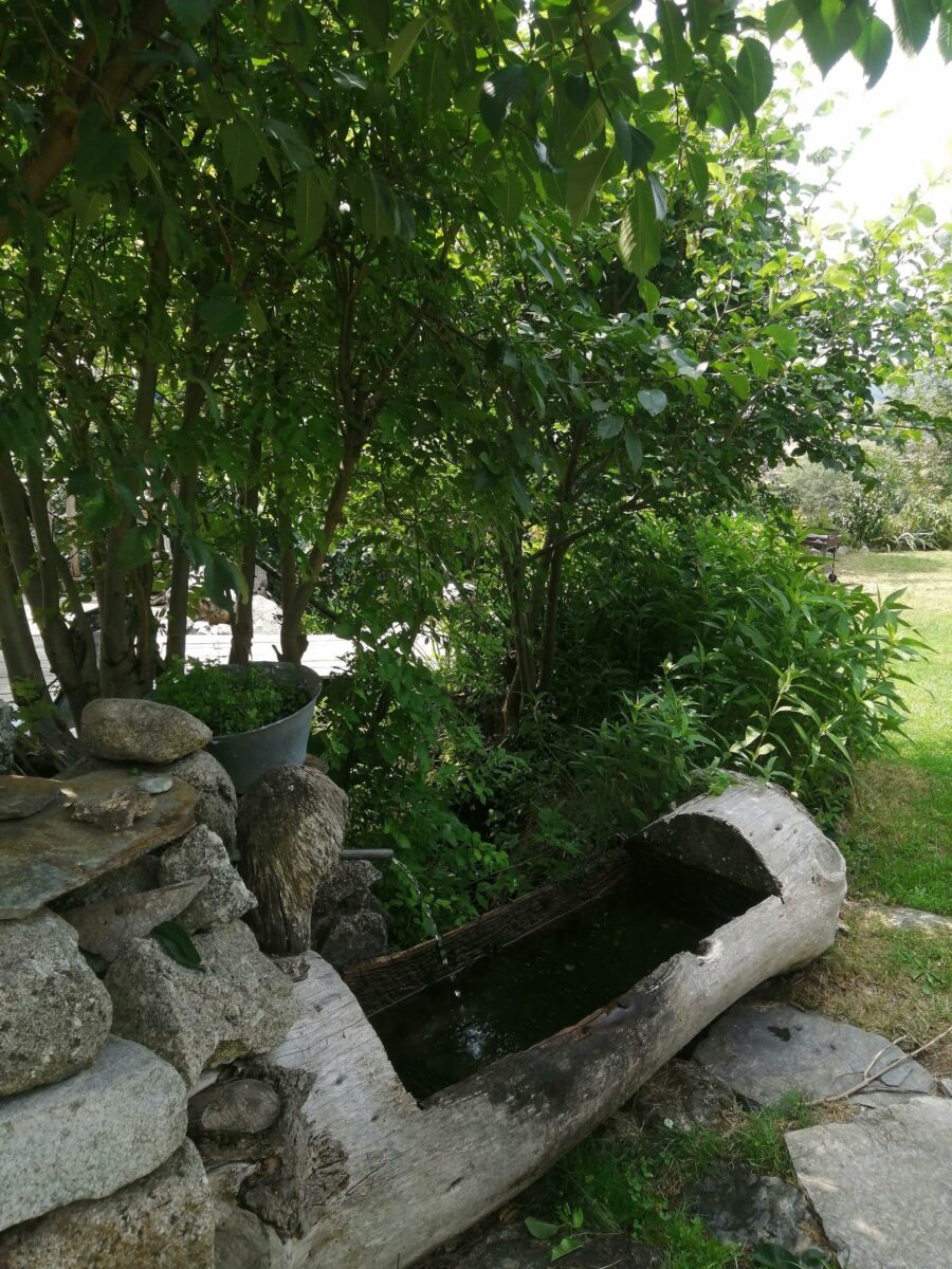 Image 2 : GÎTES DU MAZEL : LE SORBIER