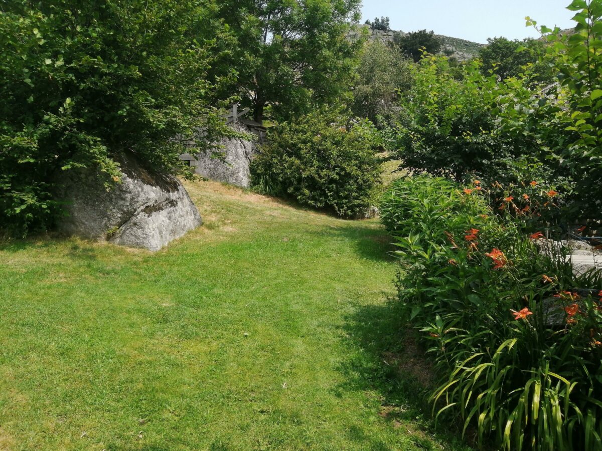 Image 3 : GÎTES DU MAZEL : LE SORBIER