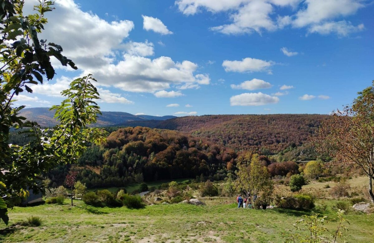 Image 4 : LA TCHOURETTE DU MONT LOZERE GRANDS CHALETS