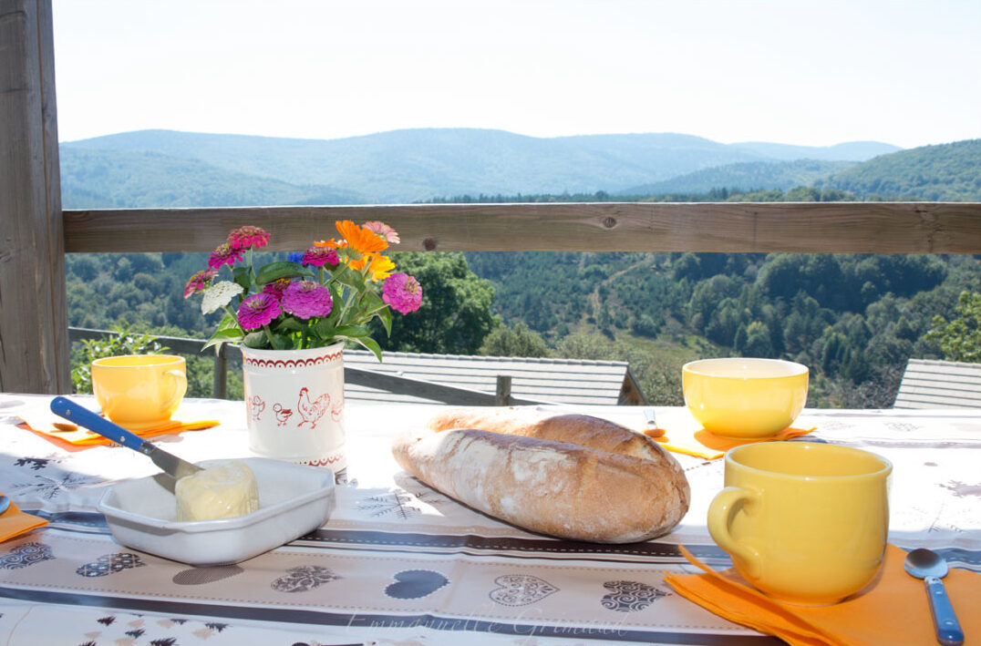 Image 4 : LA TCHOURETTE DU MONT LOZERE - PETIT CHALET