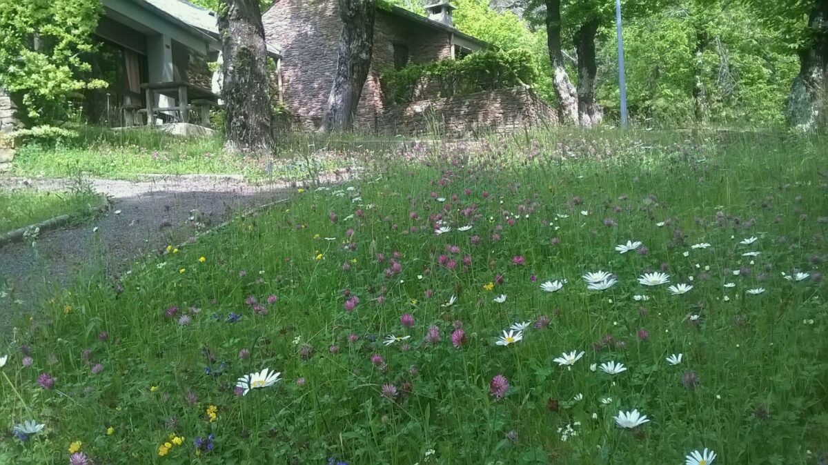 Image 3 : LES HAUTS DE SAINT PRIVAT 4-5 PERS.