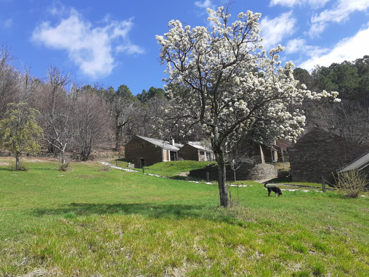 Image 4 : LES HAUTS DE SAINT PRIVAT 6-7 PERS.