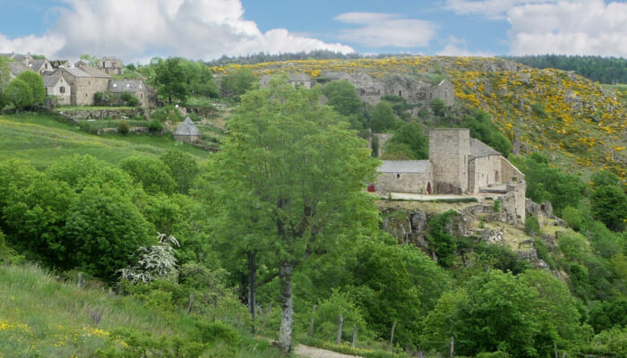 Image 1 : CHATEAU DE GRIZAC