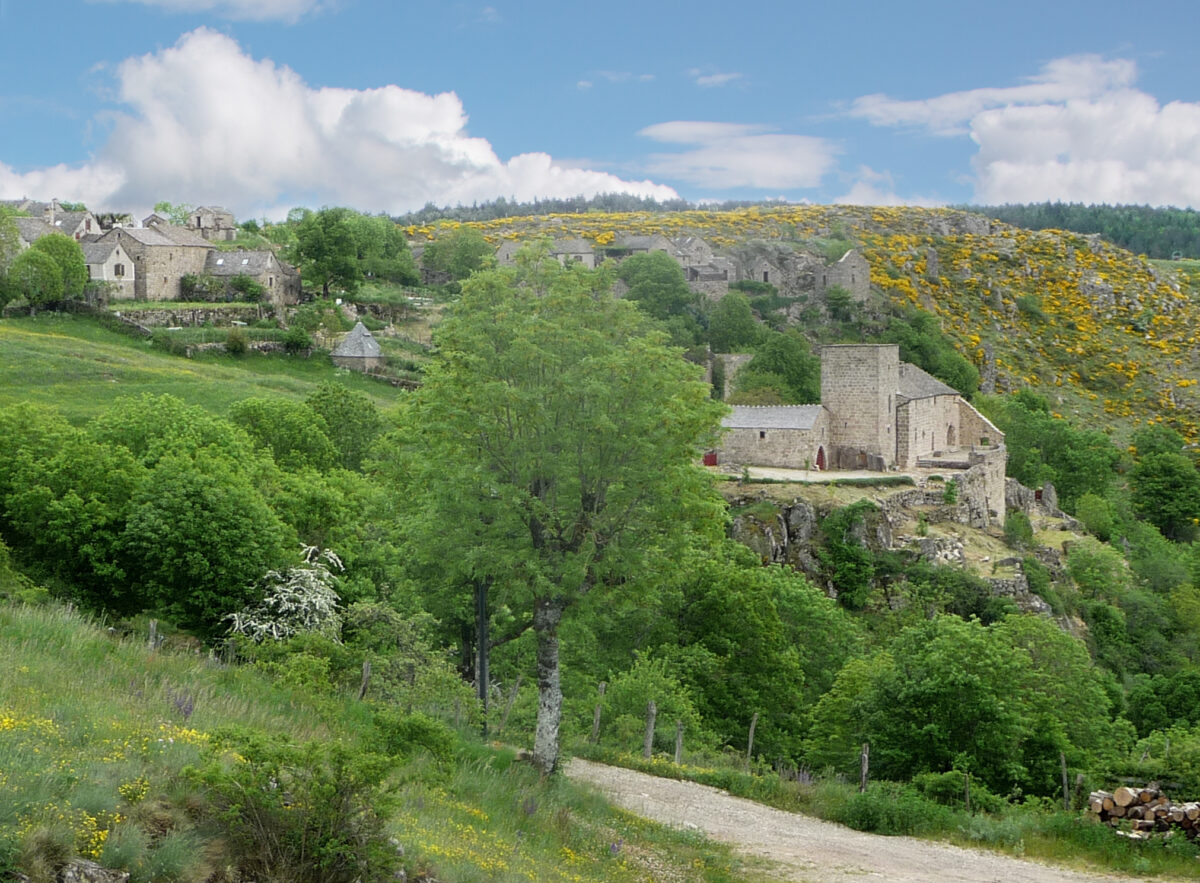 Image 1 : CHATEAU DE GRIZAC