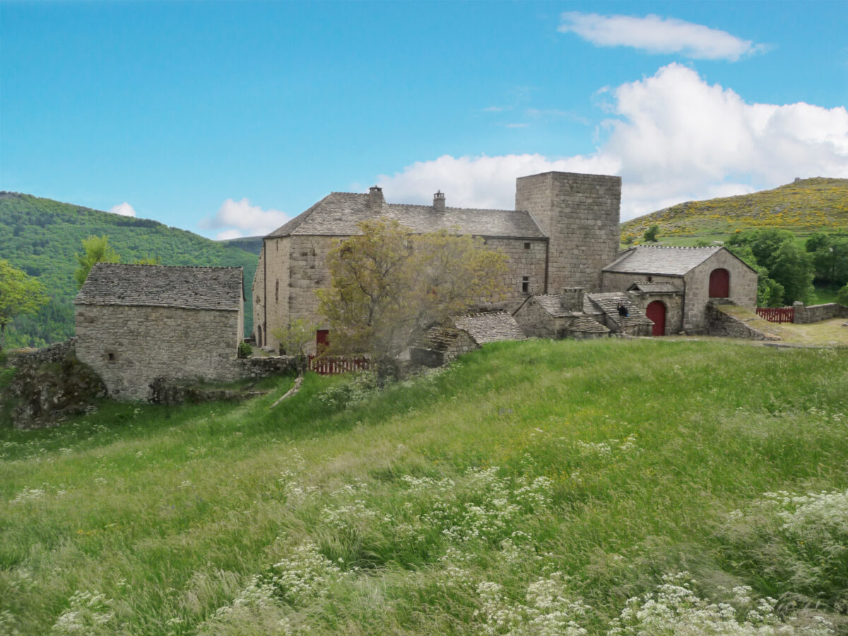 Image 2 : CHATEAU DE GRIZAC