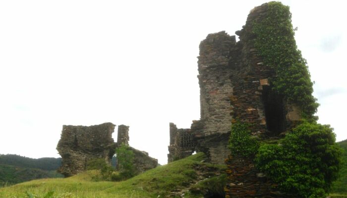 Image 1 : CHÂTEAU DE SAINT-JULIEN-D'ARPAON