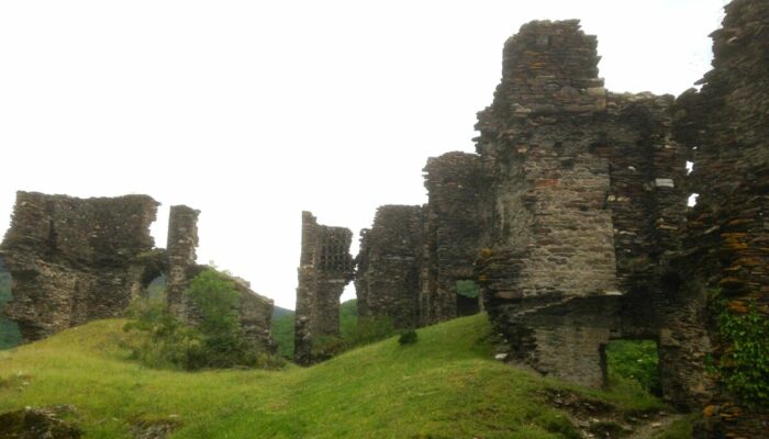 Image 2 : CHÂTEAU DE SAINT-JULIEN-D'ARPAON