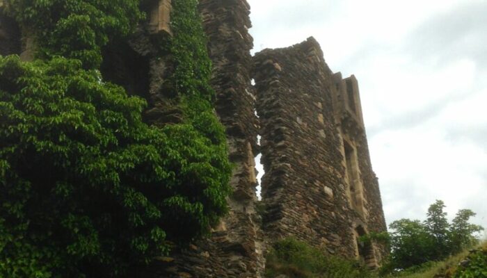 Image 3 : CHÂTEAU DE SAINT-JULIEN-D'ARPAON