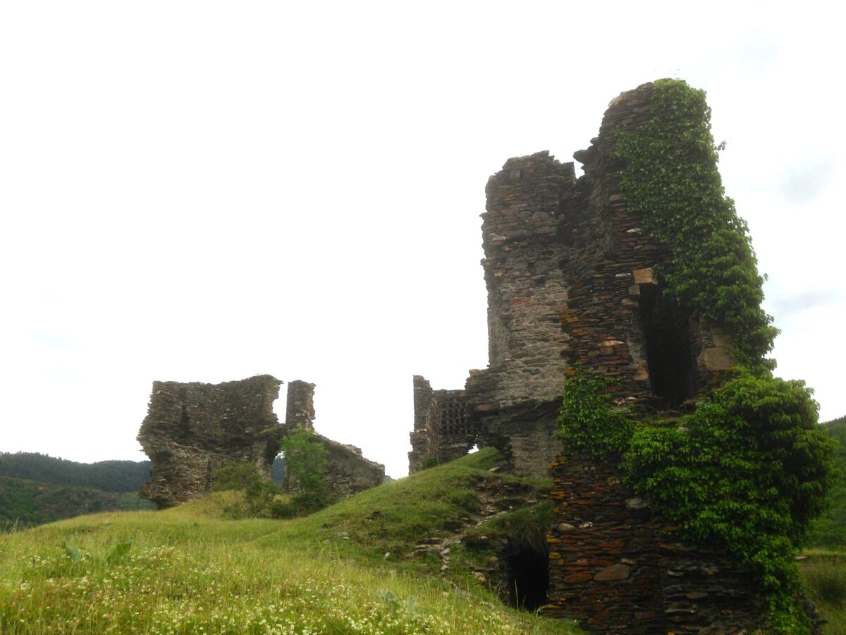Image 1 : CHÂTEAU DE SAINT-JULIEN-D'ARPAON