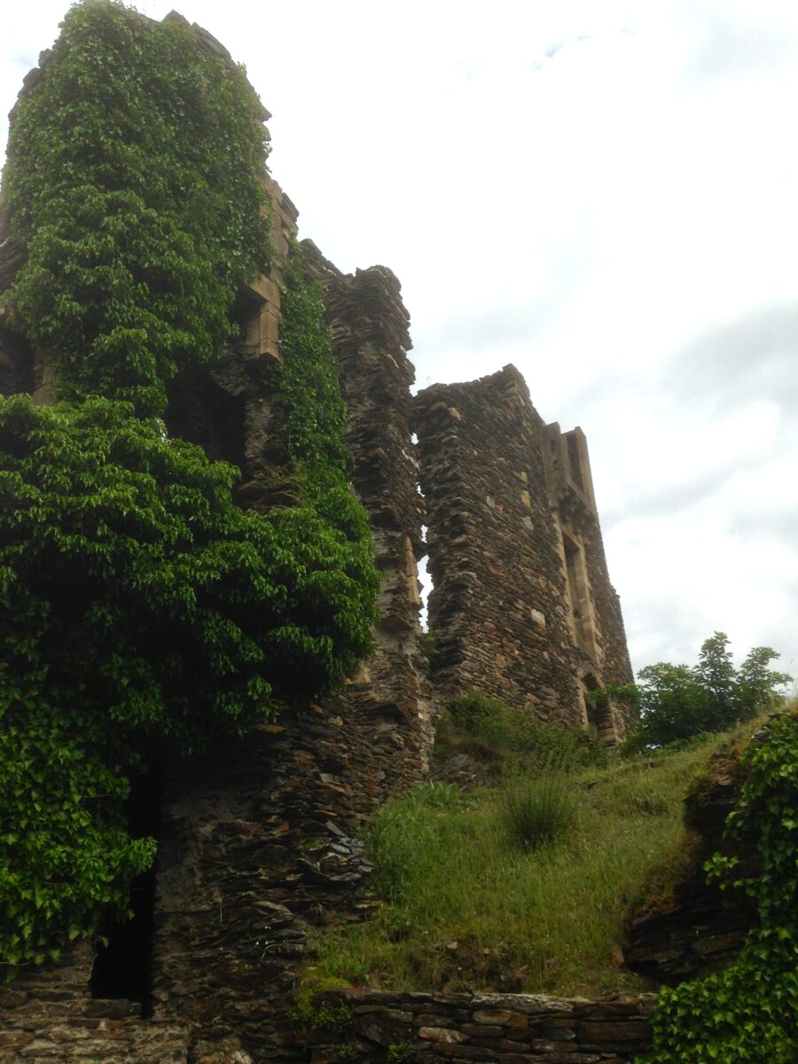 Image 3 : CHÂTEAU DE SAINT-JULIEN-D'ARPAON