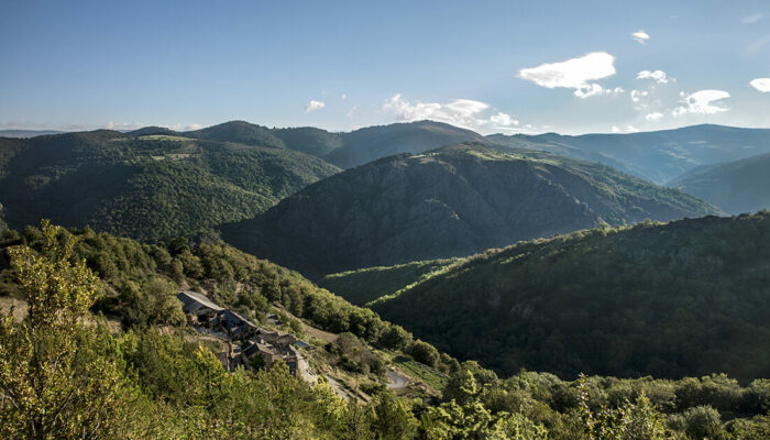 Image 4 : LA FERME DES CEVENNES