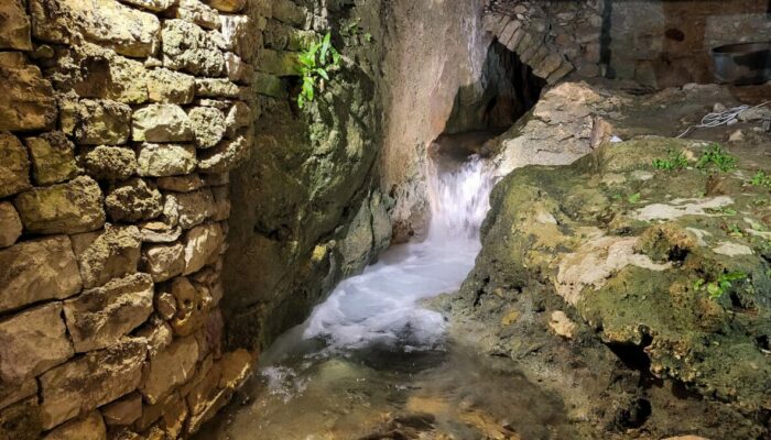 Image 3 : LA SOURCE DU MOULIN DE CENARET
