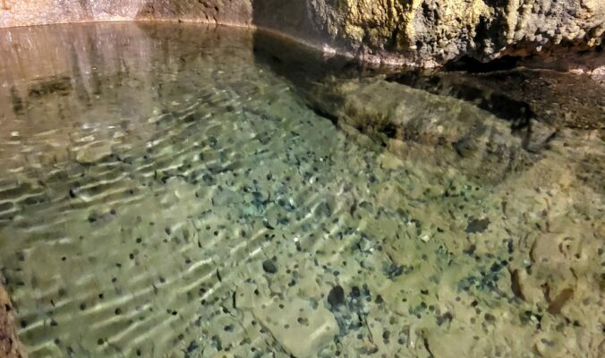 Image 4 : LA SOURCE DU MOULIN DE CENARET