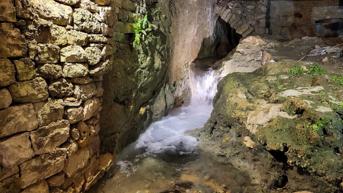 Image 3 : LA SOURCE DU MOULIN DE CENARET