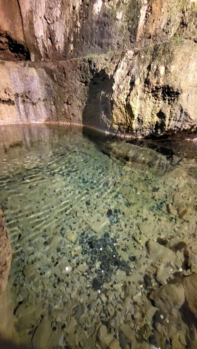 Image 4 : LA SOURCE DU MOULIN DE CENARET