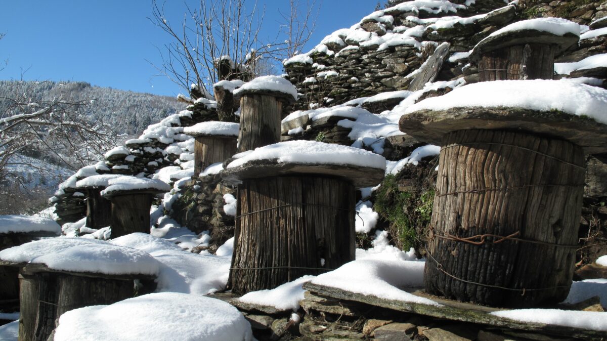 Image 4 : LES RUCHERS TRONCS DE LA VALLÉE DE L'ABEILLE NOIRE
