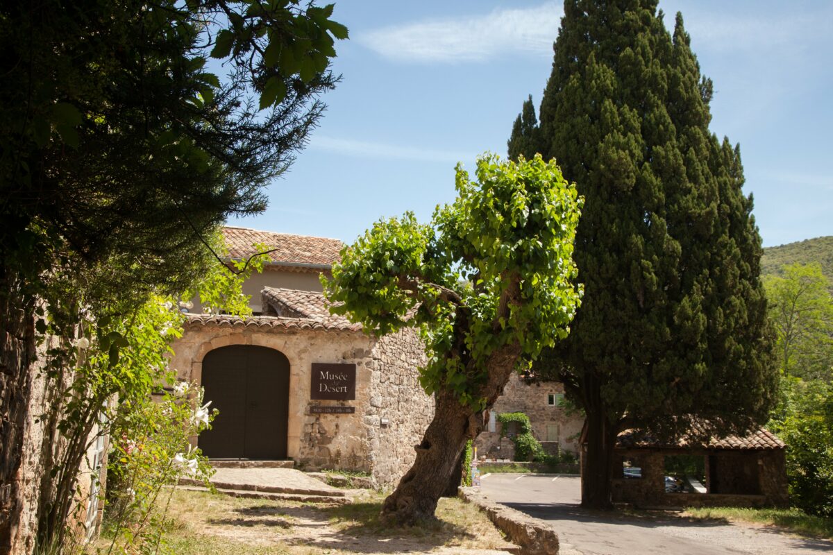 Image 4 : MUSÉE DU DÉSERT