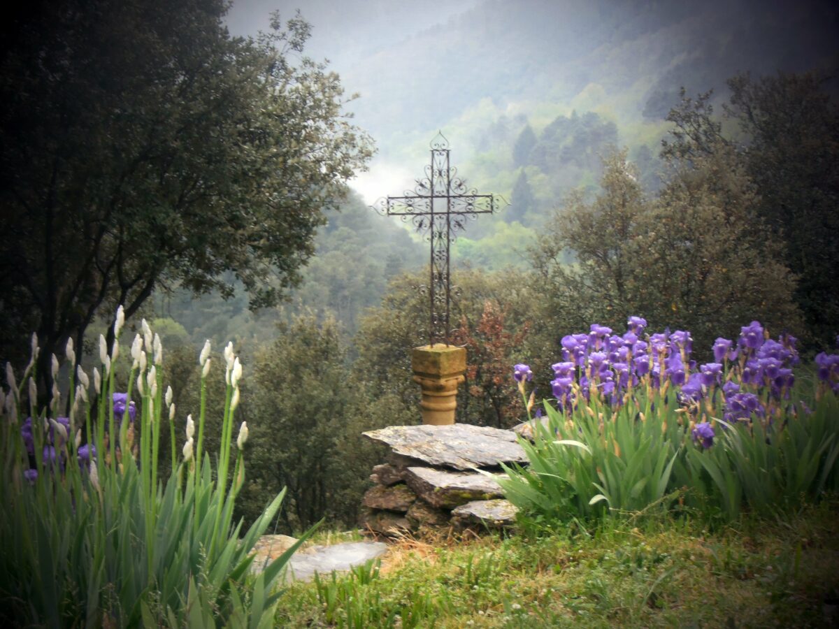 Image 3 : SKITE SAINTE FOY