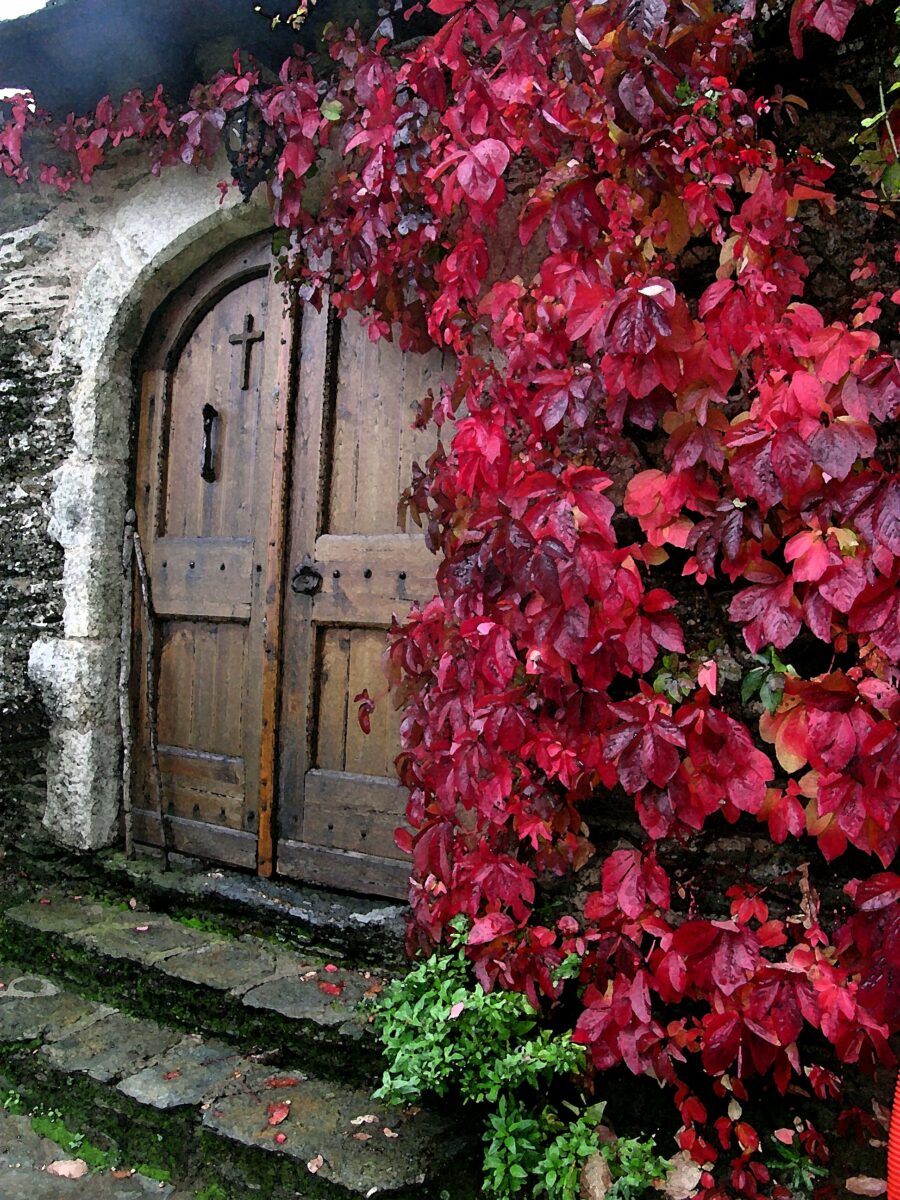 Image 4 : SKITE SAINTE FOY