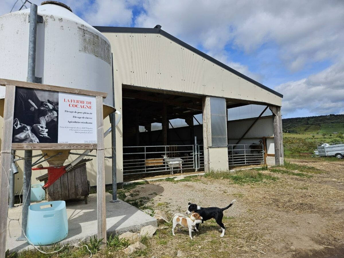 Image 1 : LA FERME DE COCAGNE