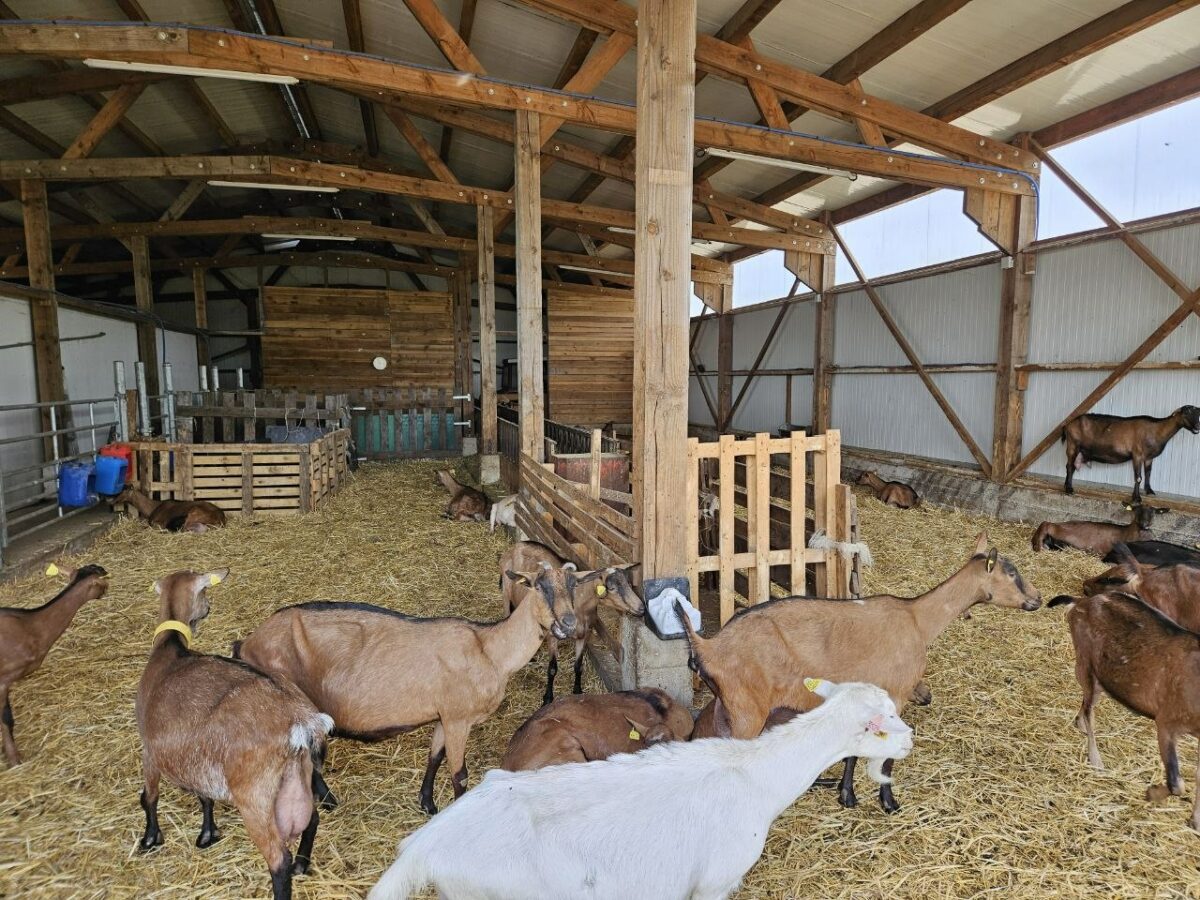 Image 3 : LA FERME DE COCAGNE