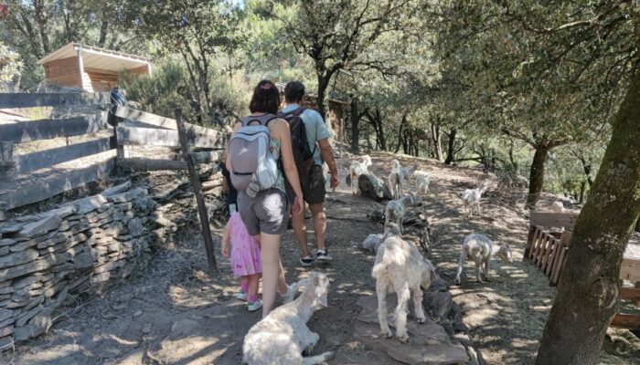 Image 0 : FERME FLORETTE