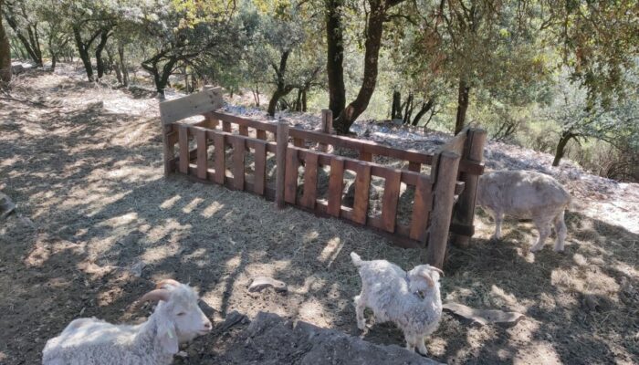 Image 1 : FERME FLORETTE