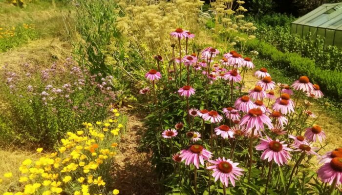 Image 1 : LA FERMACIE