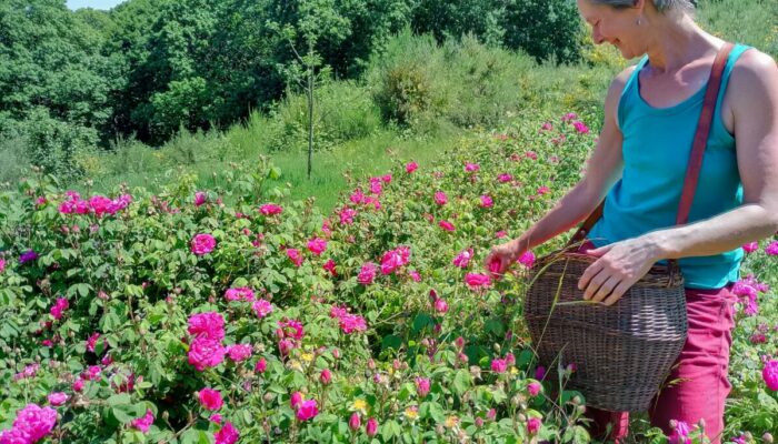 Image 0 : LA FERMACIE