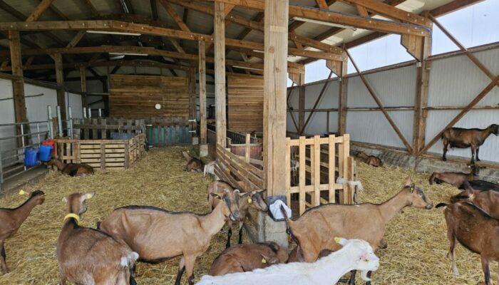 Image 3 : LA FERME DE COCAGNE