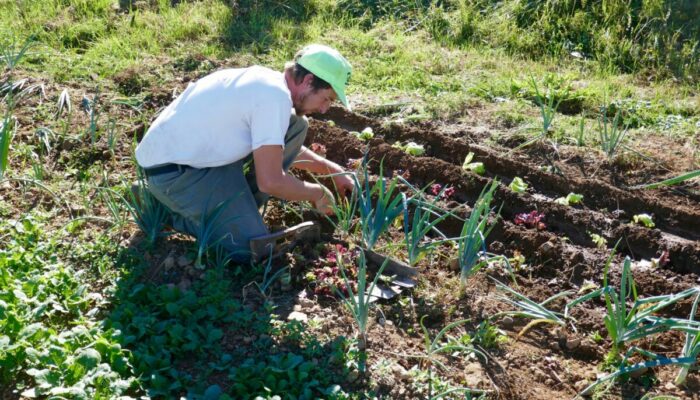 Image 0 : LES JARDINS DE GRIZAC