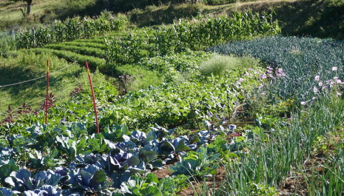 Image 2 : LES JARDINS DE GRIZAC