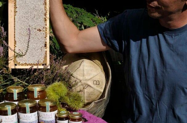 Image 2 : LES RUCHERS DE BASTIEN