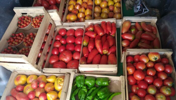 Image 0 : LOU MAS DEL MIECH